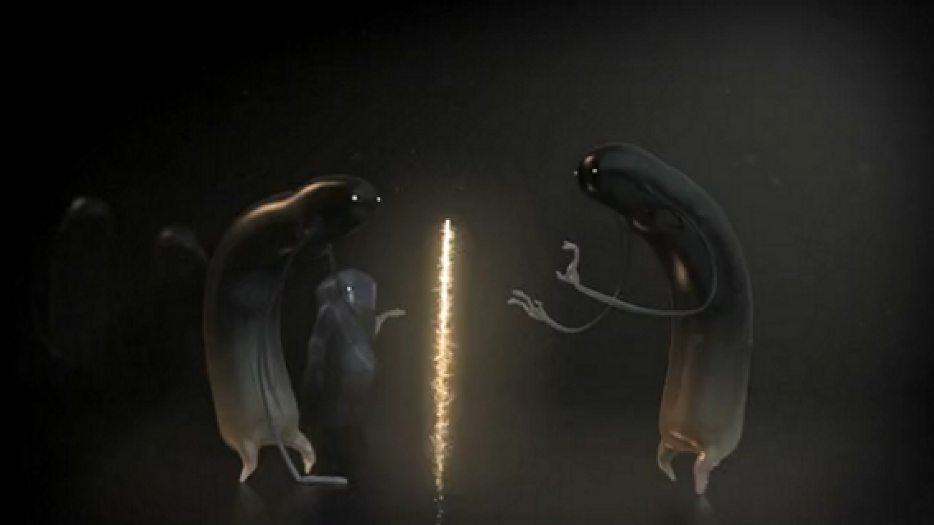 Characters in Motion -3