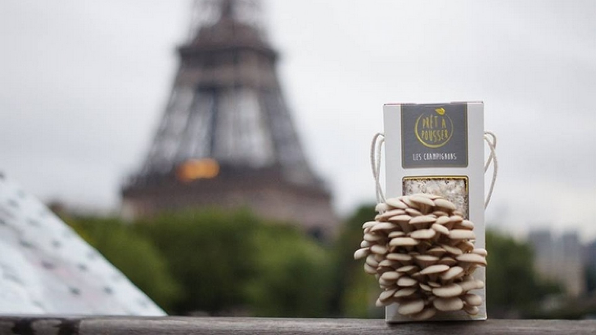 (R)évolutions en cuisine - Les tendances 2014