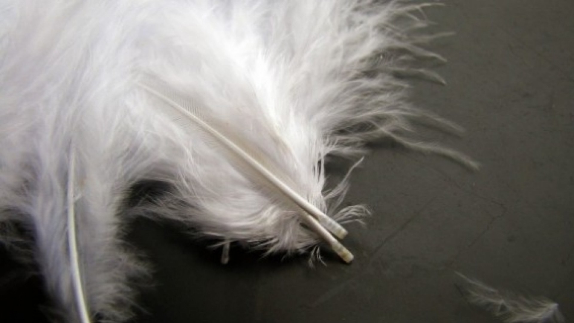 Communication sans fil, une histoire d'ondes