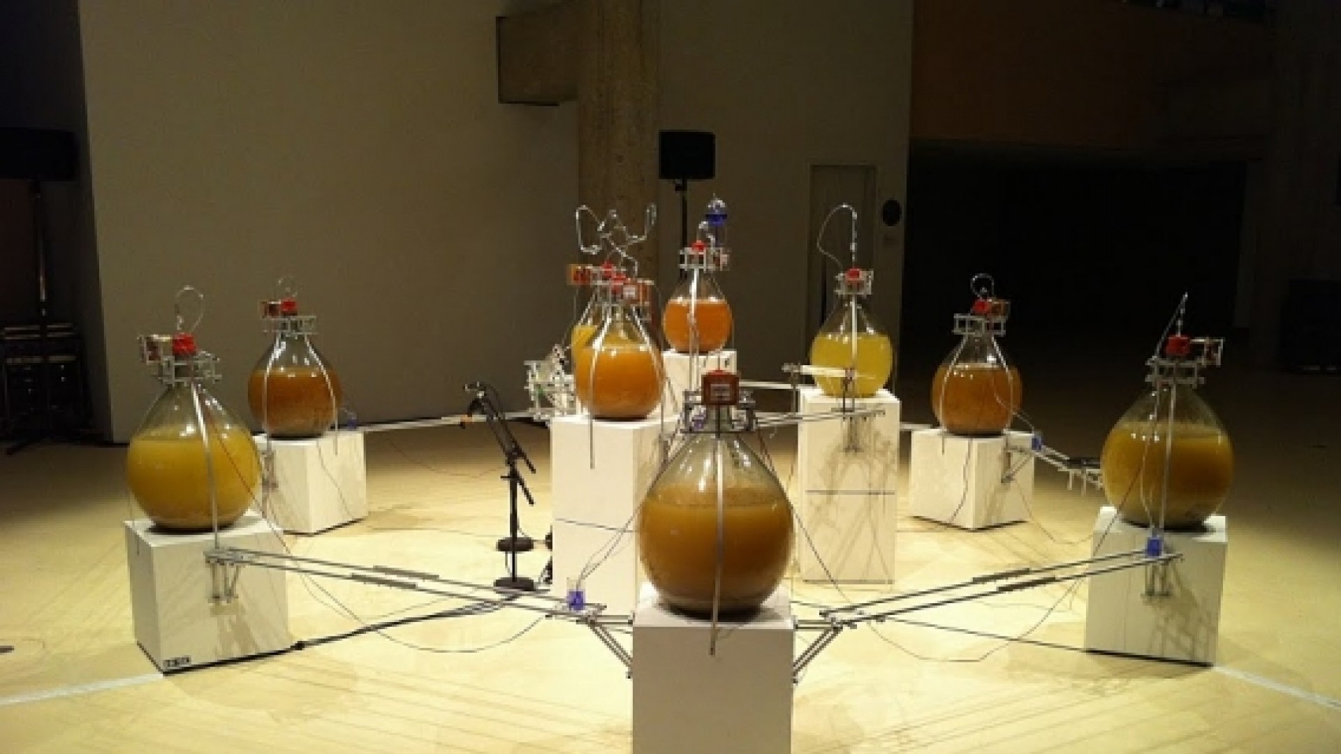 HONF&nbsp;: Intelligent Bacteria