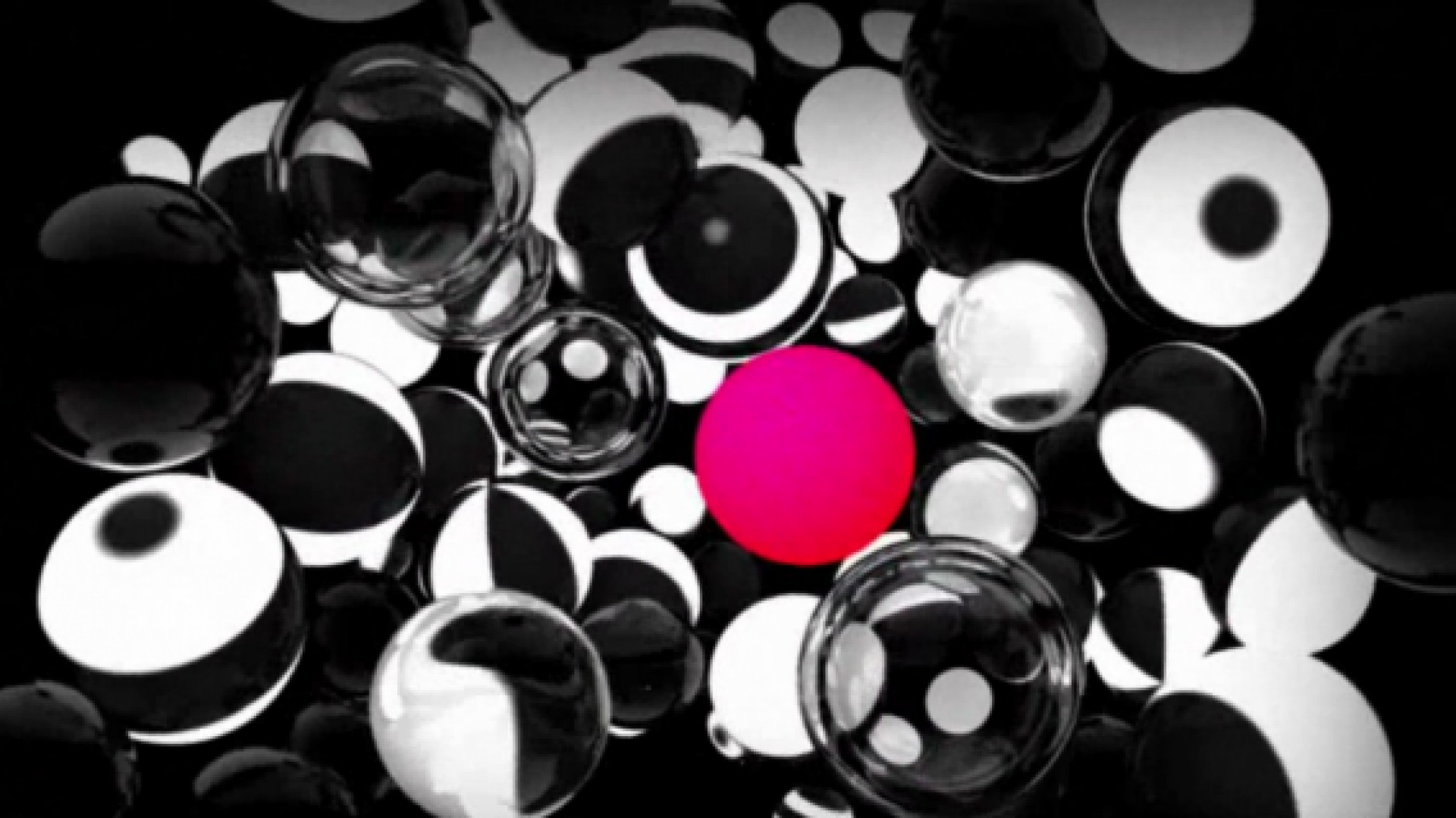 Advanced beauty + Retrospective Universal Everything 2004 > 2011