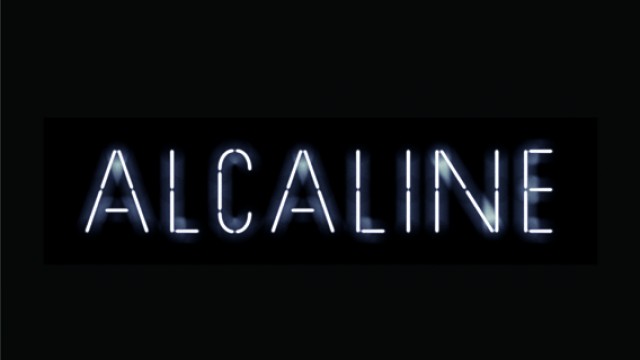 Alcaline, le concert • Ben, l'Oncle Soul