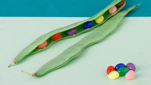 Culinary (r)evolutions