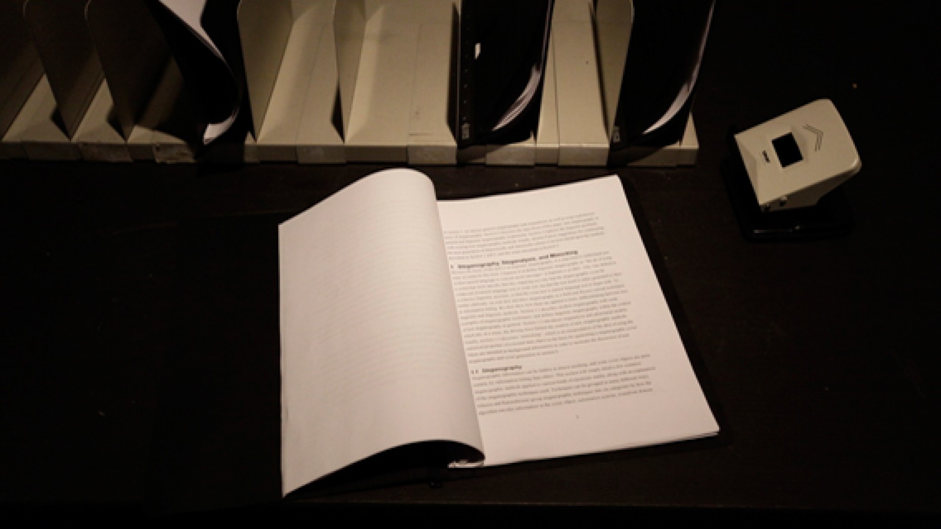 Paranoid Steganography