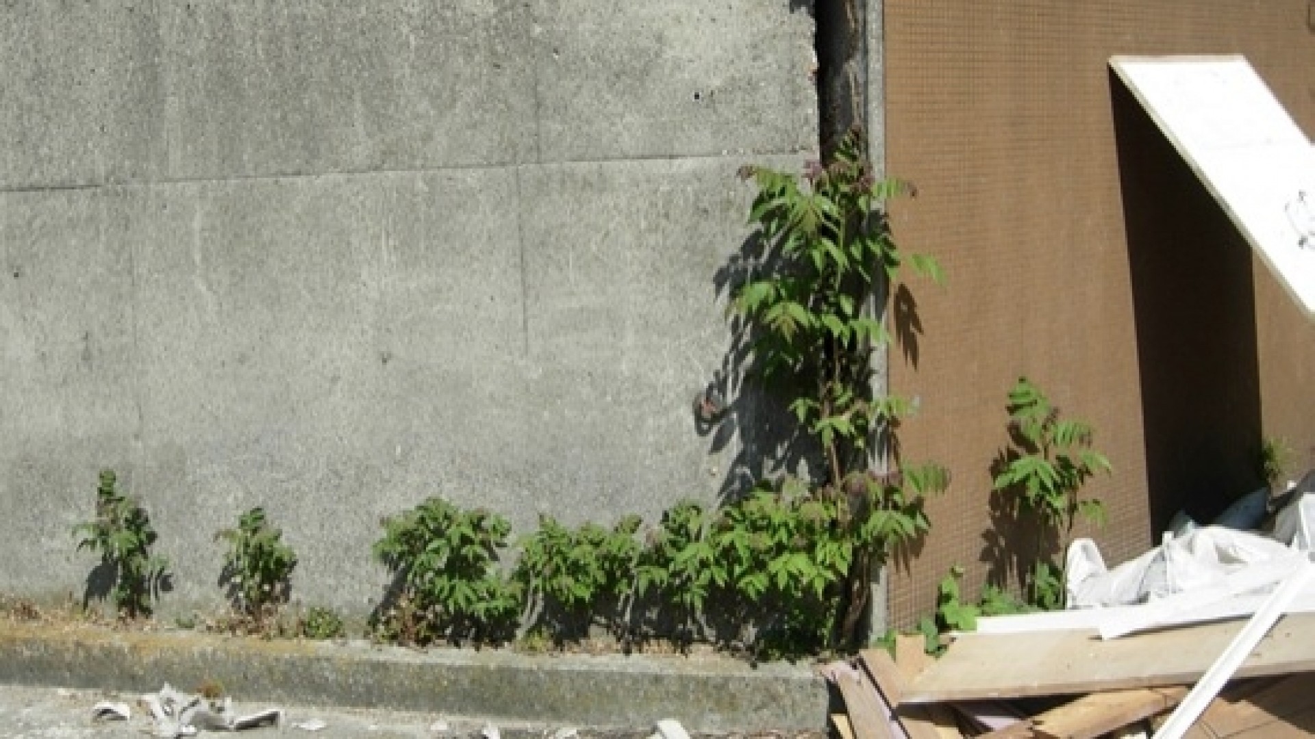 Natures Urbaines&nbsp;: la table ronde