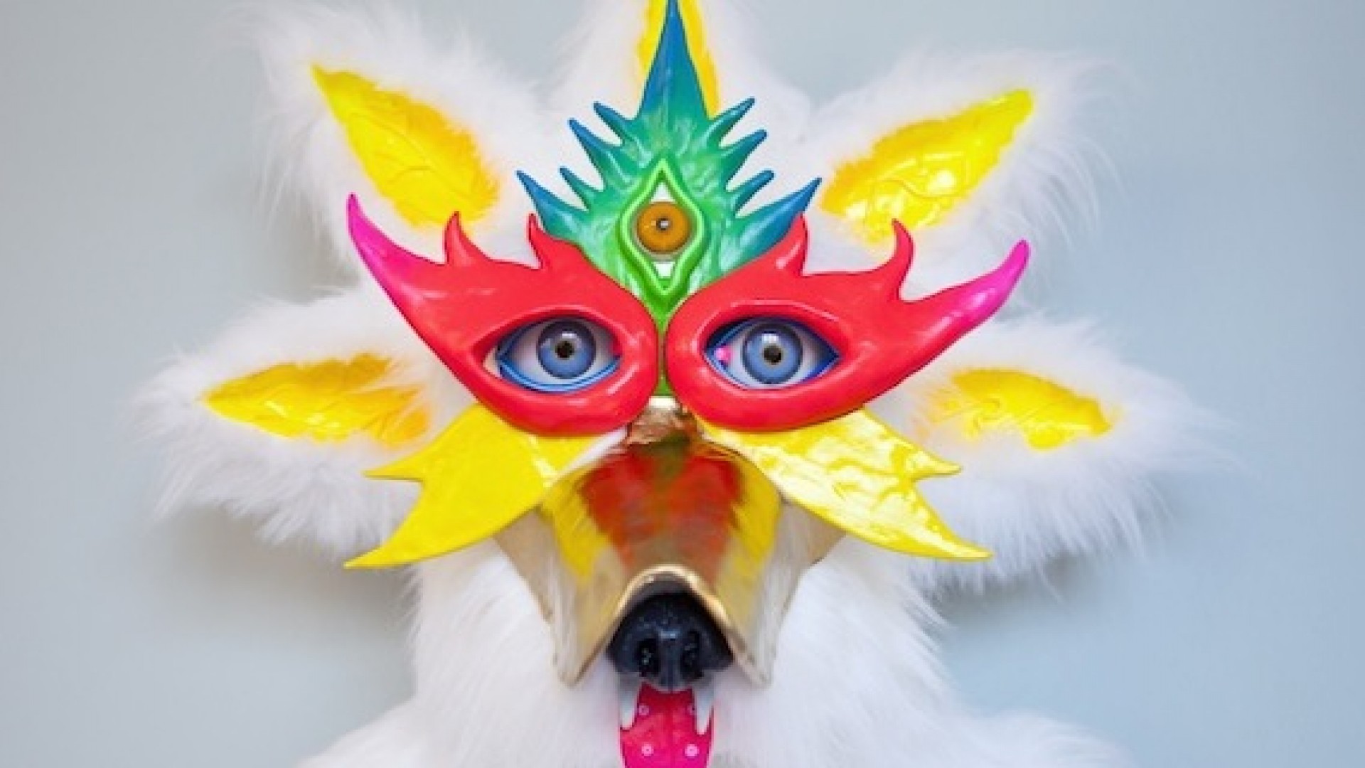 Visite accompagnée - Pictoplasma