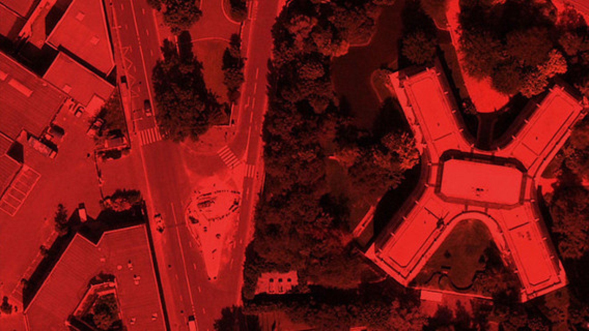 Noé + Cyborgs dans la brume