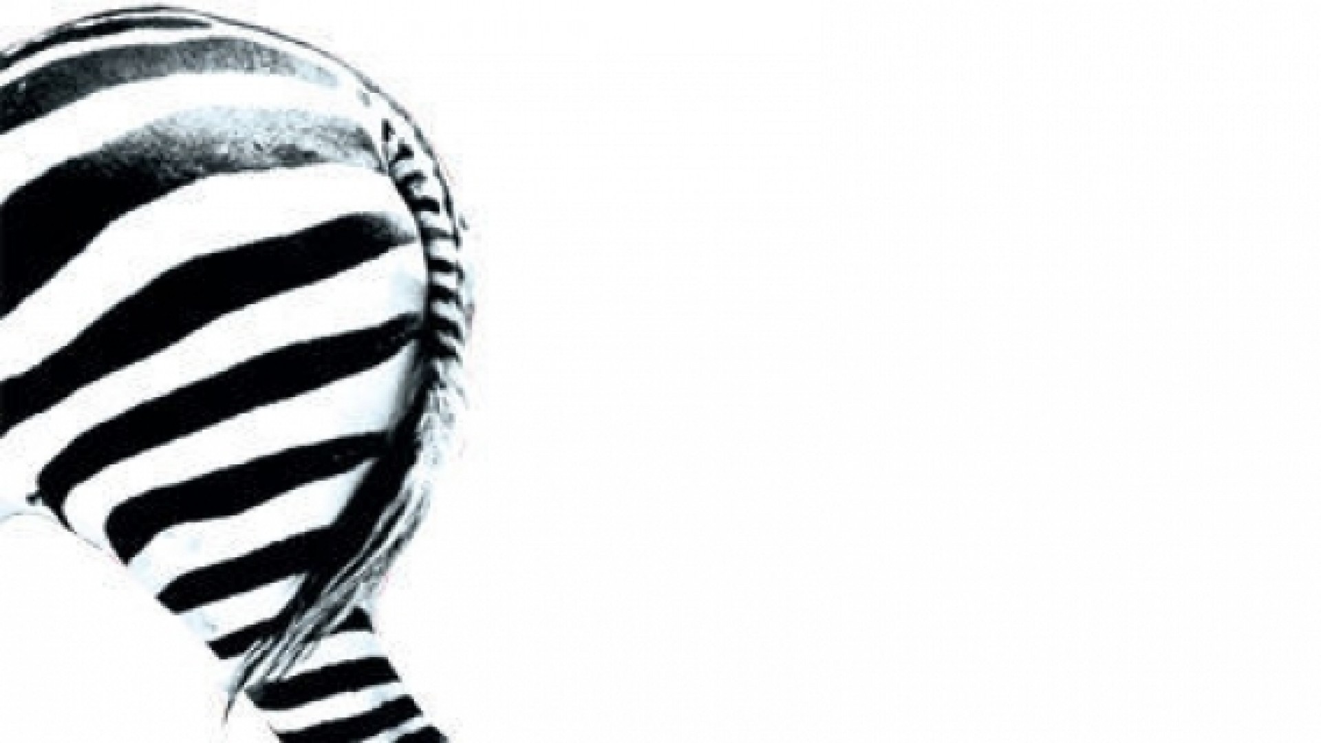 Nuit Zébrée - Nova