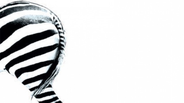 Nuit Zébrée - Nova