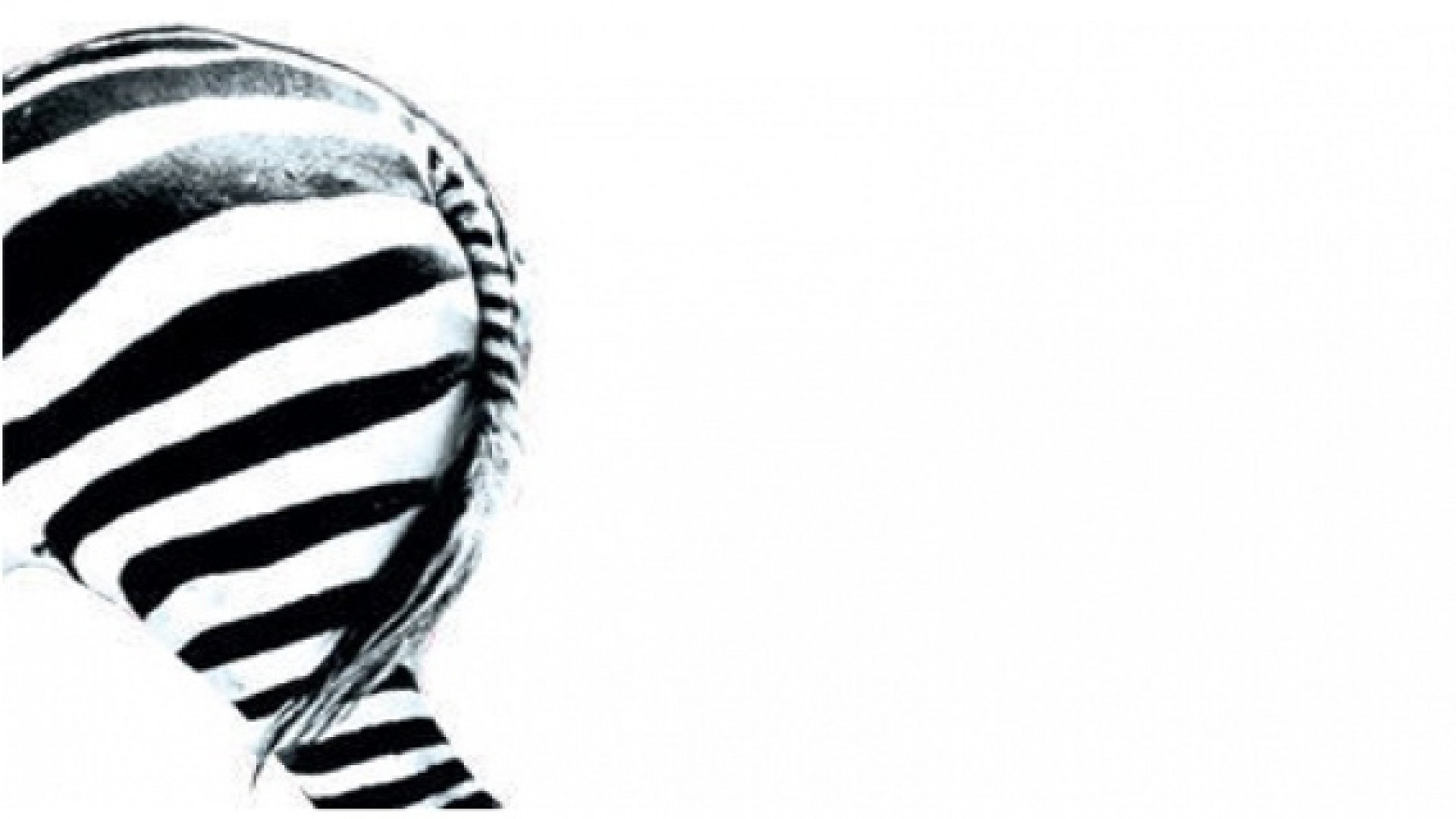 Nuit Zébrée - Nova