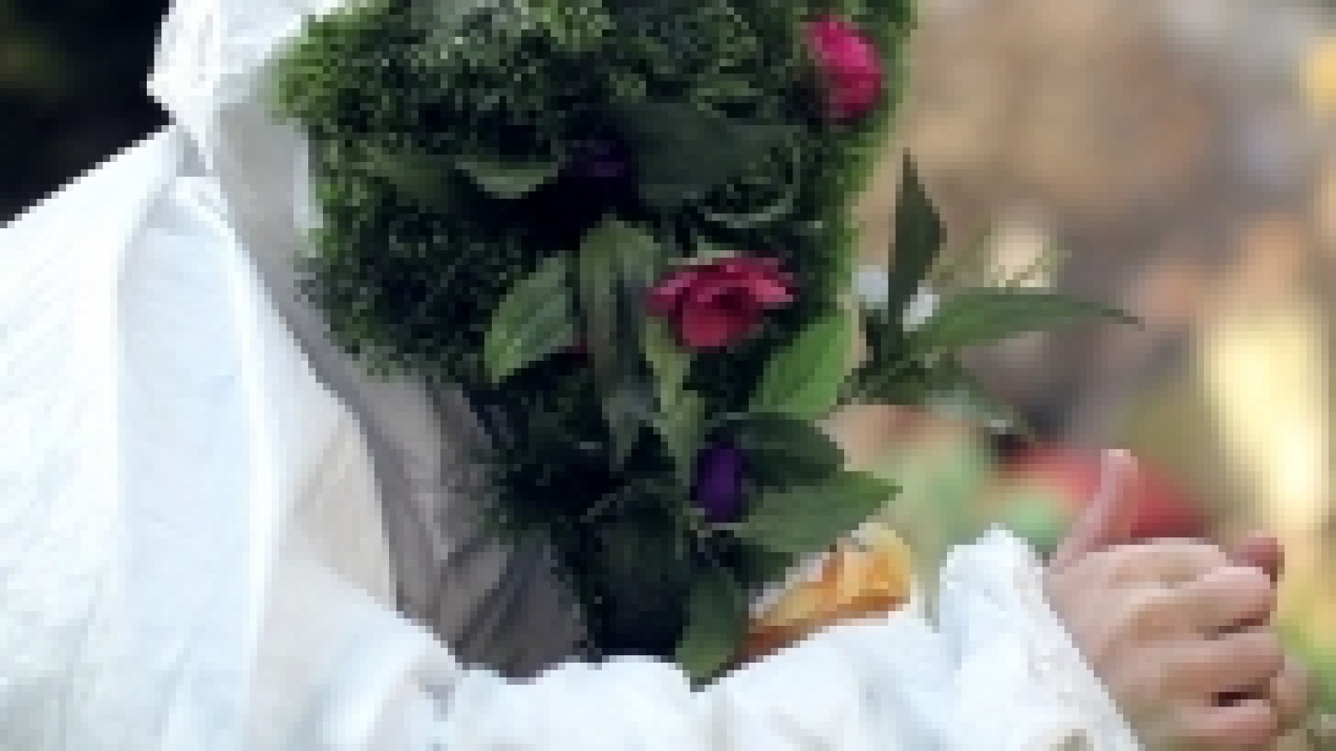 L’Oeil de links en stop-motion