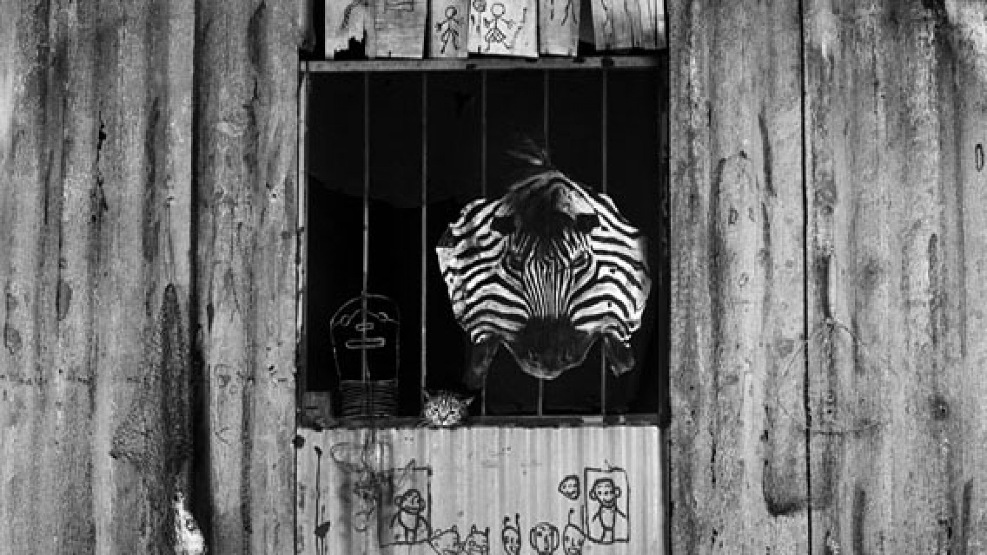 Roger Ballen, photographe