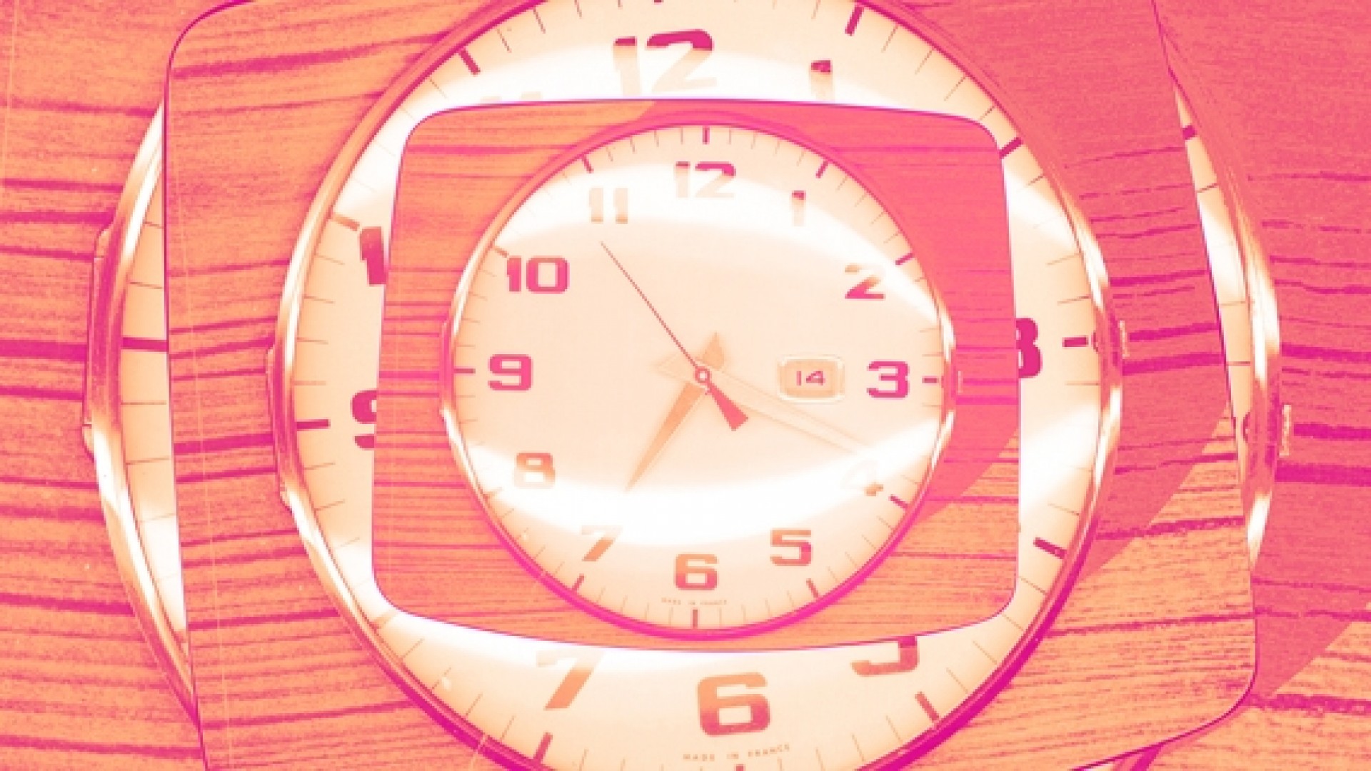 Sign Painters (avant-première)