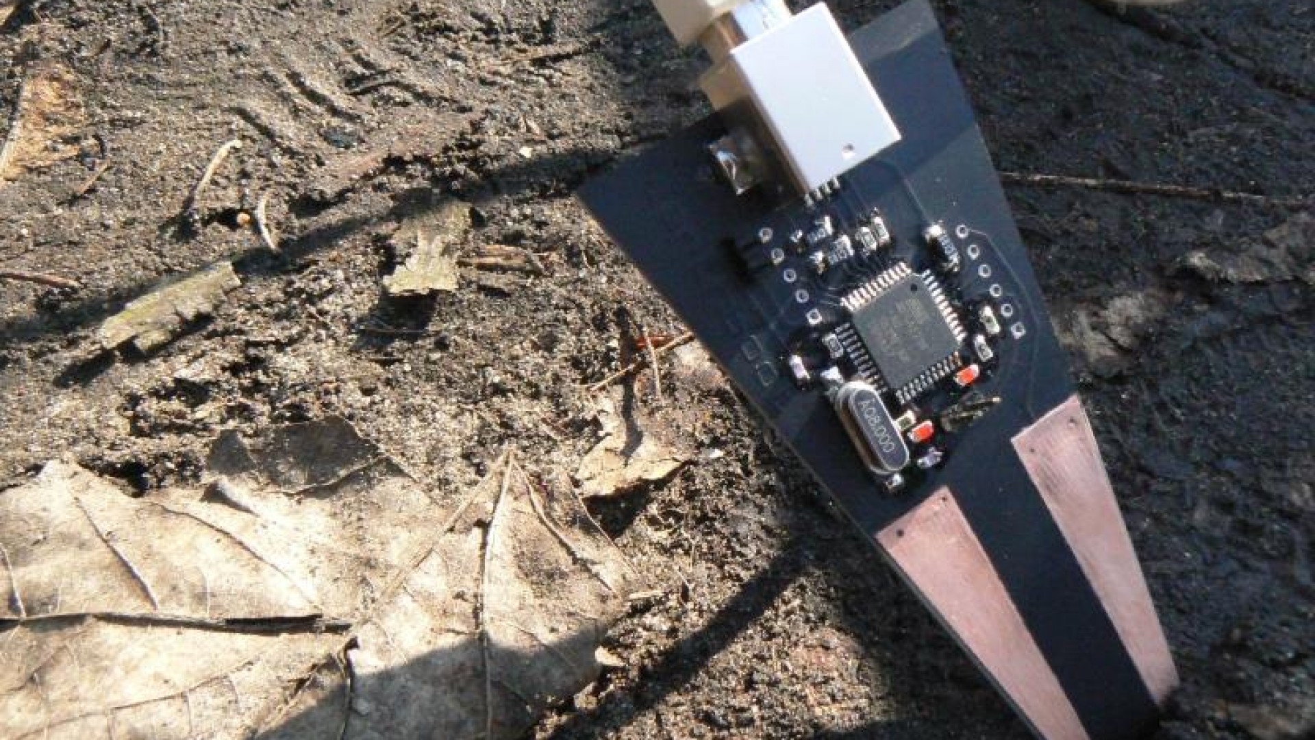 Conversation au fil de l'eau