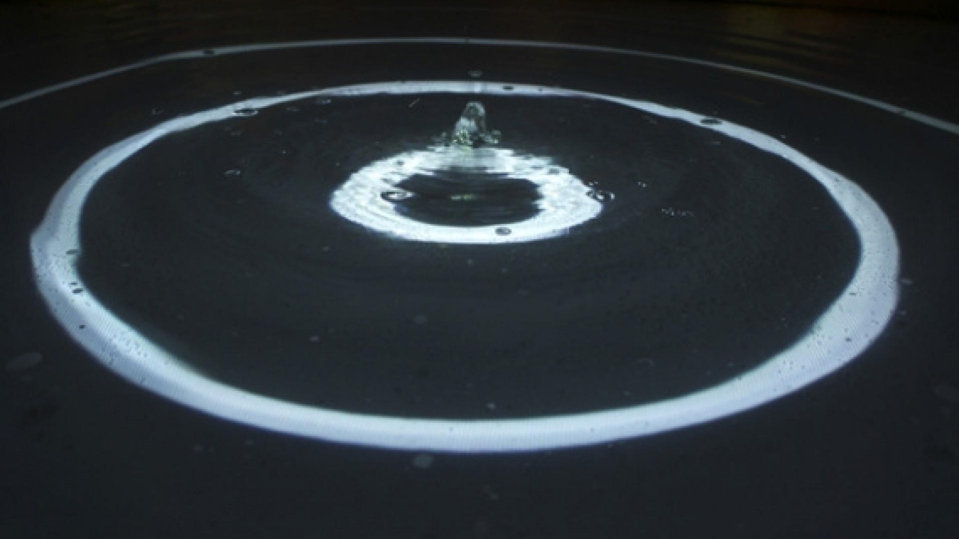 installations creators project