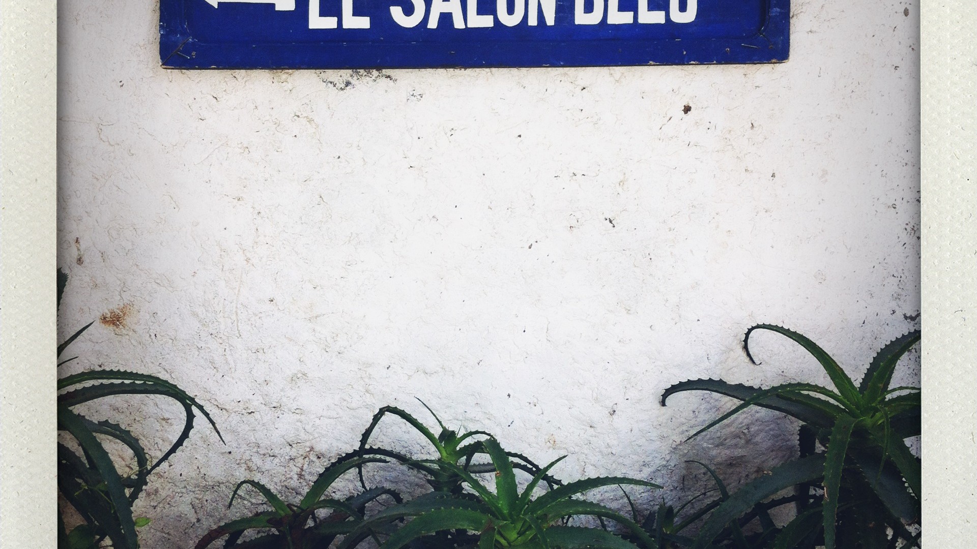 Le salon bleu