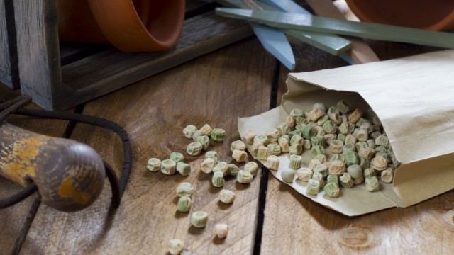 La guerre des semences aura-t-elle lieu&nbsp;?