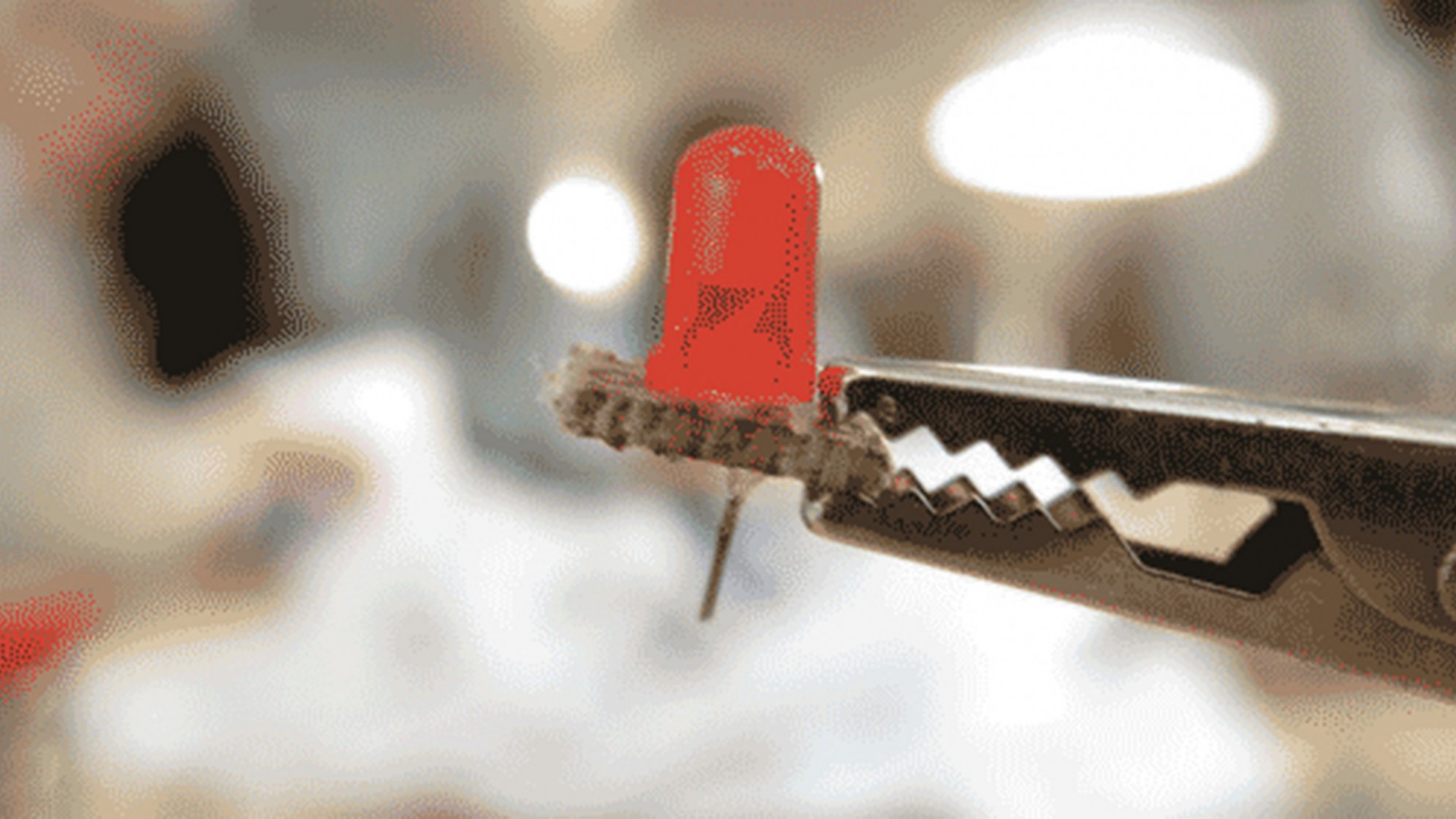 Adolidays - Custom Truc