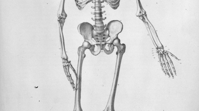 danser jusqu'à l'os