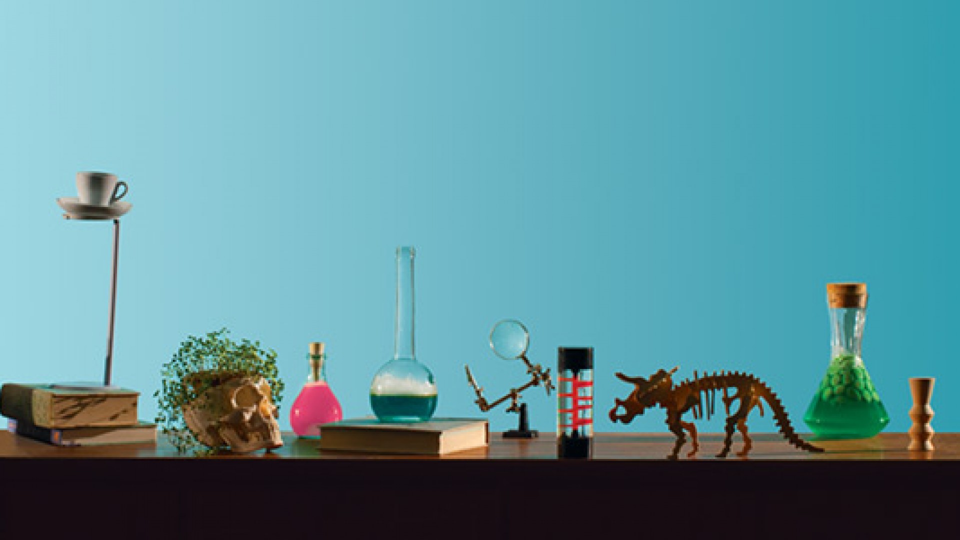 Le festival des lauréats - Création Cuisine