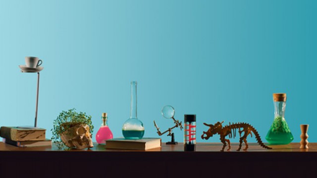 Le festival des lauréats - Création Cuisine