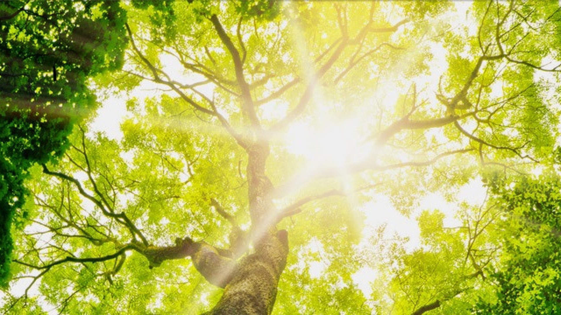 Et si on changeait d'air&nbsp;? Des solutions innovantes pour le climat... et pour vous&nbsp;! 