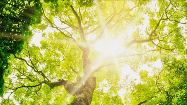 Et si on changeait d'air&nbsp;? Des solutions innovantes pour le climat... et pour vous&nbsp;! 