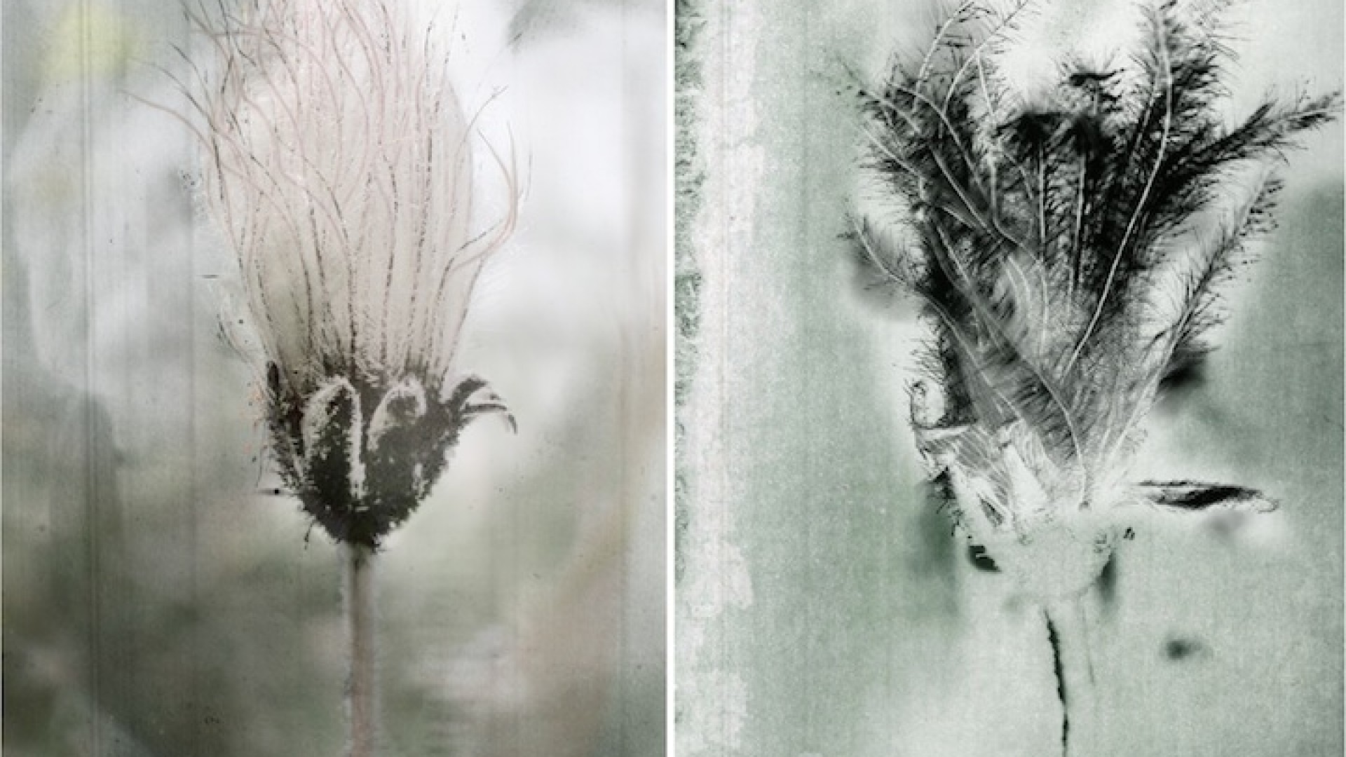 Le pouvoir de la fiction: imaginer un avenir 