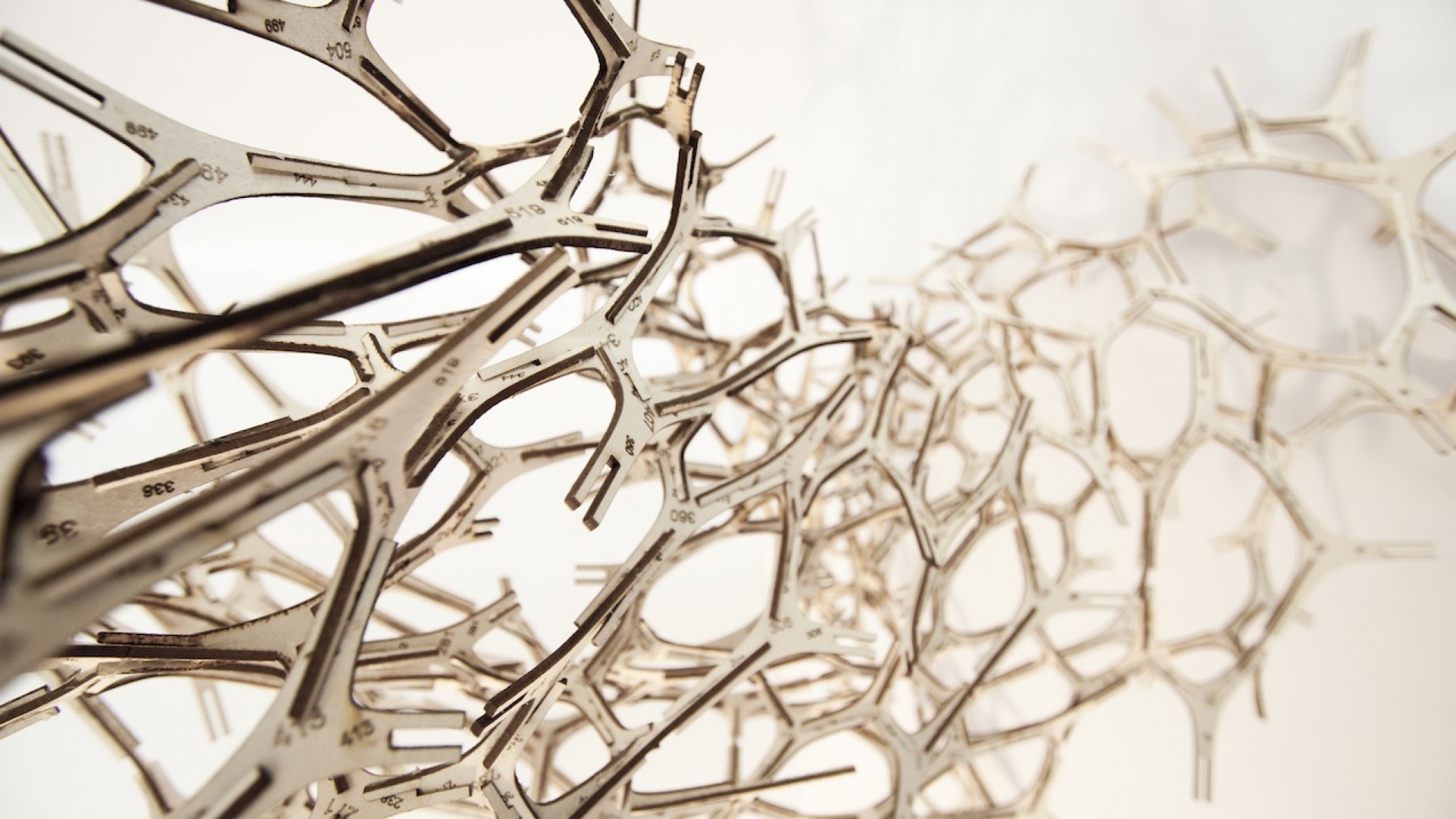 We live in a computational world