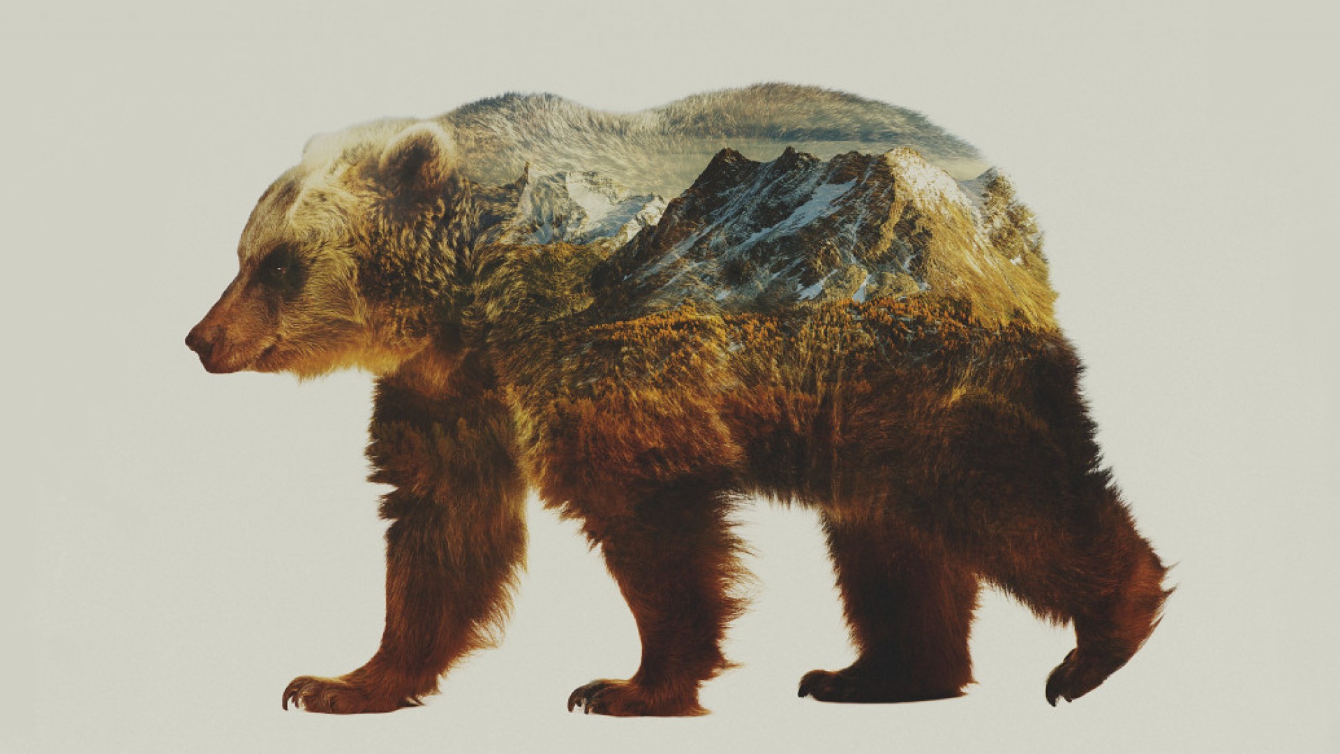 Le Club Docu par Konbini