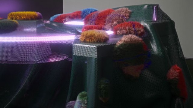 Battle de Links spéciale Weareable