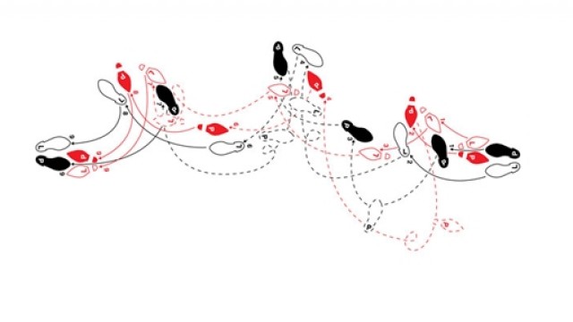 Appli'quons-nous ! Sportablette