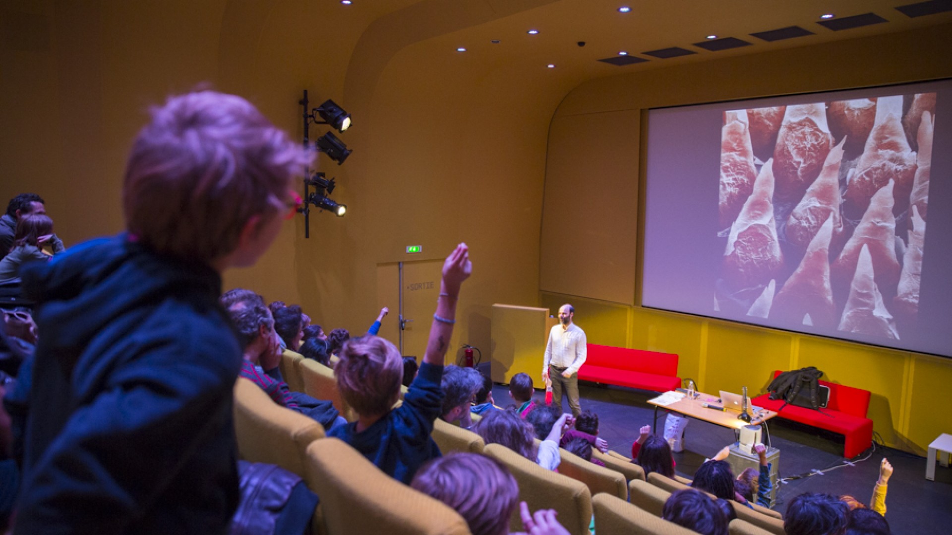 Promenade dans le monde des fantômes