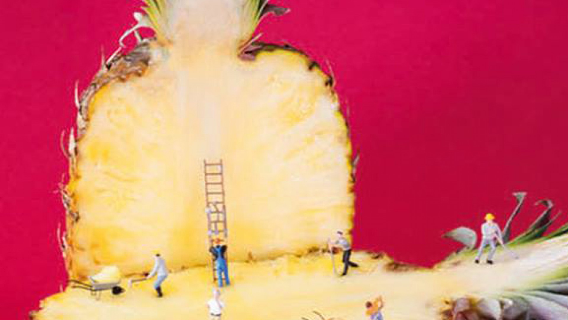 #FEST'FOOD/Agro-Écologie