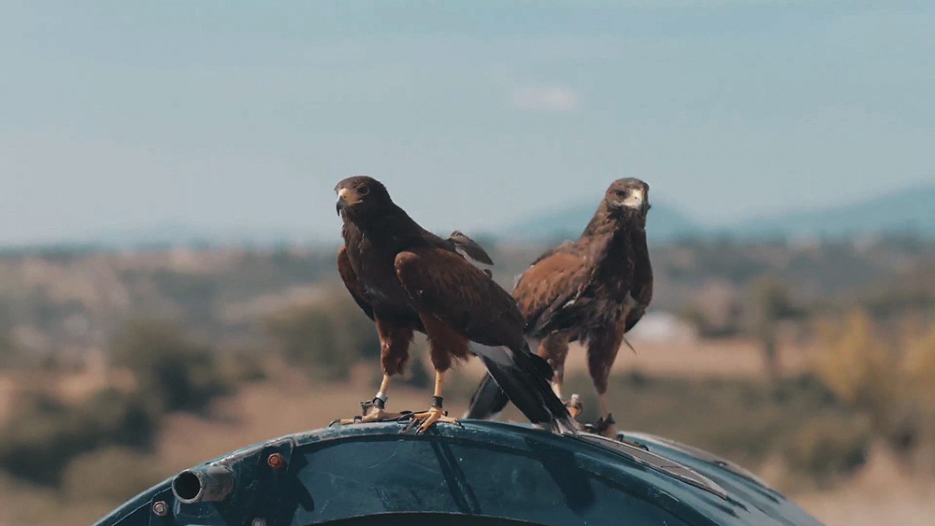 Rencontres Internationales Paris/Berlin