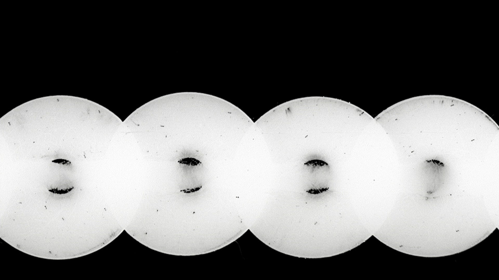 Rencontres Internationales Paris/Berlin