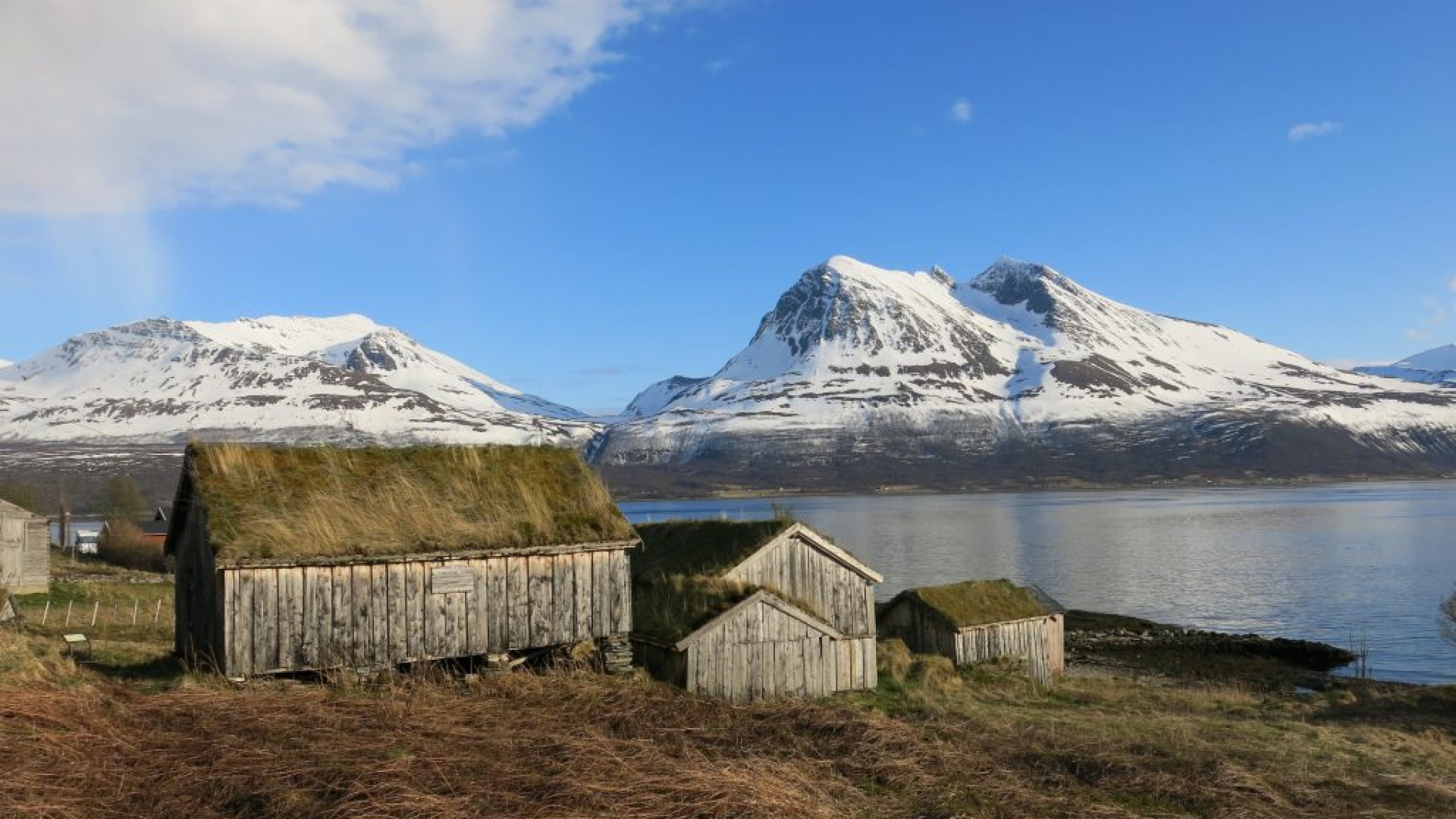  Northern Disco Lights