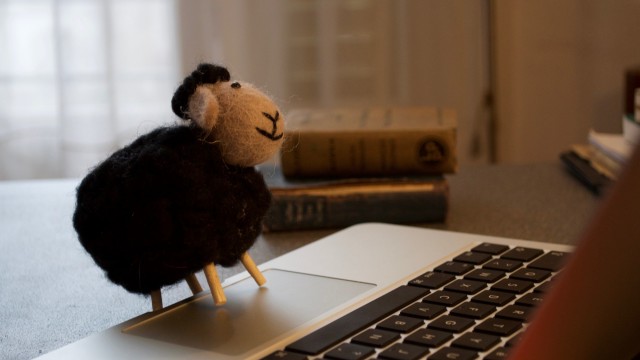 Mouton numérique #2