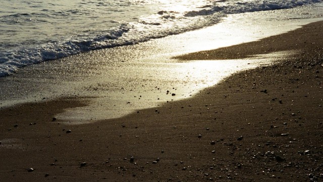 "Sans titre (Après plus de vingt ans d'abandon)"