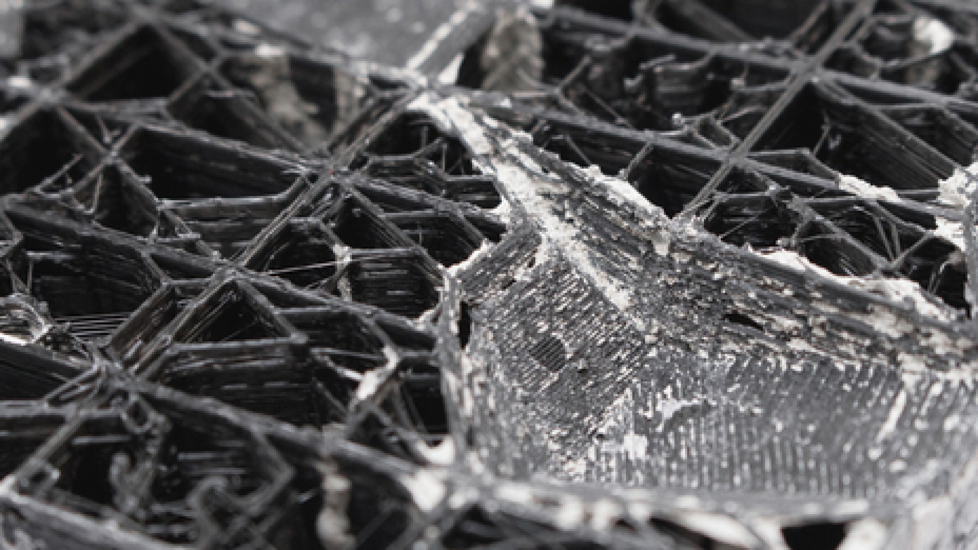 Exposition des œuvres de Ianis Lallemand