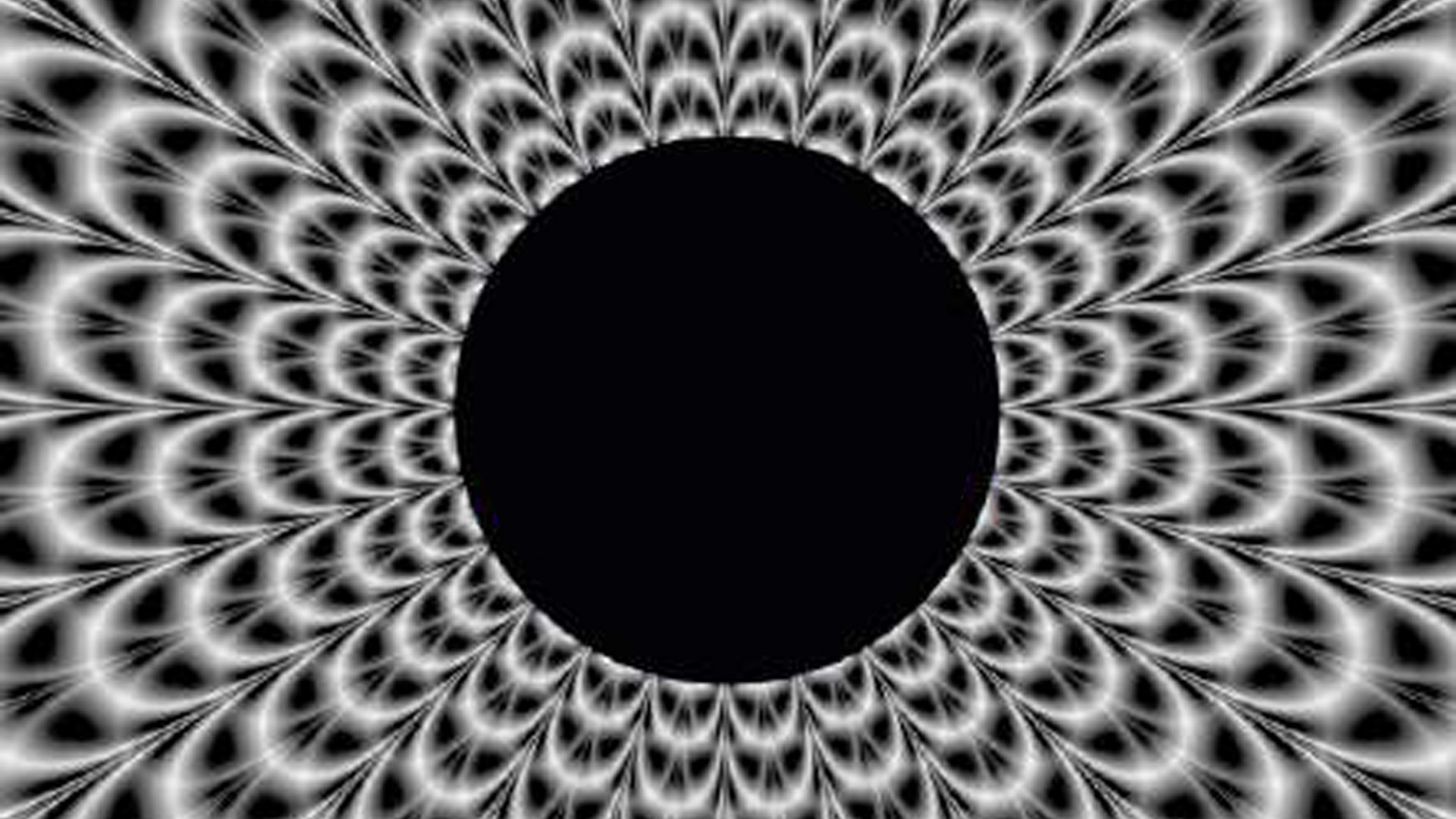 Vers une culture experientielle&nbsp;?