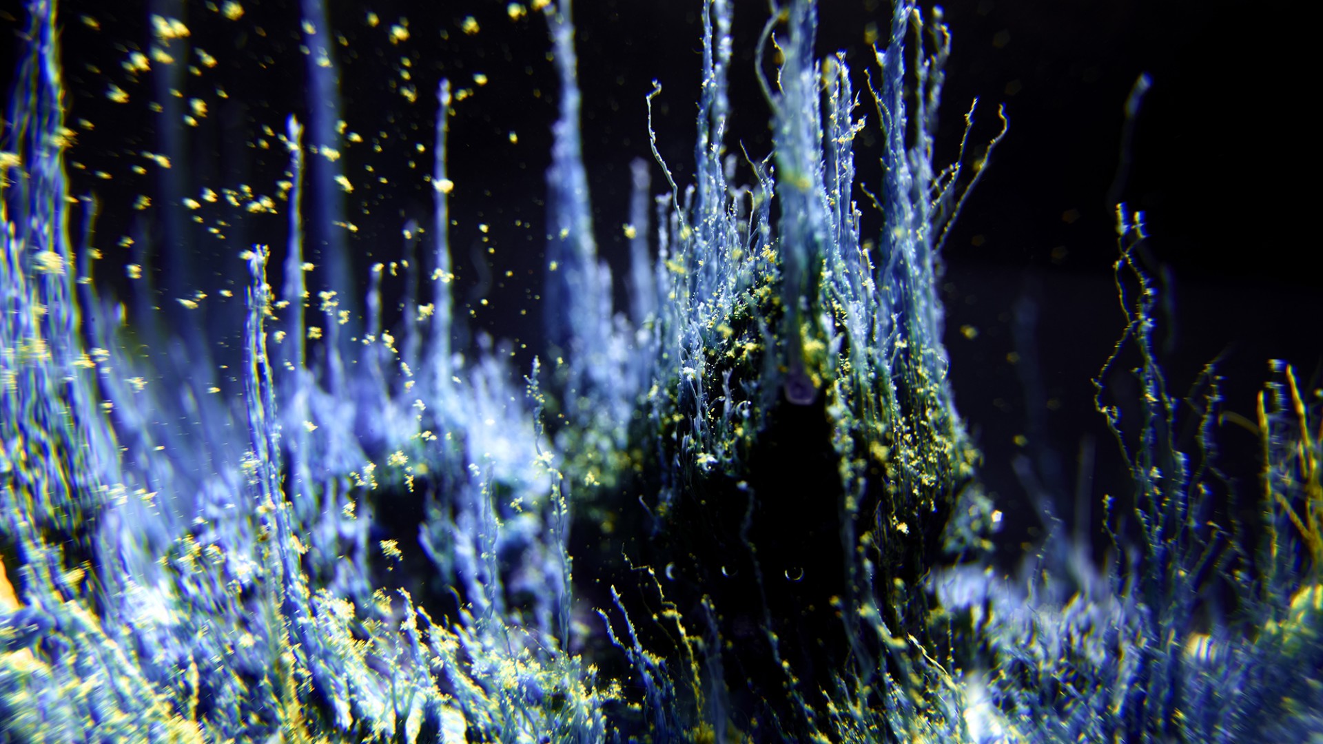 Parcours Présages + Nun on the Moon + Tracing sites