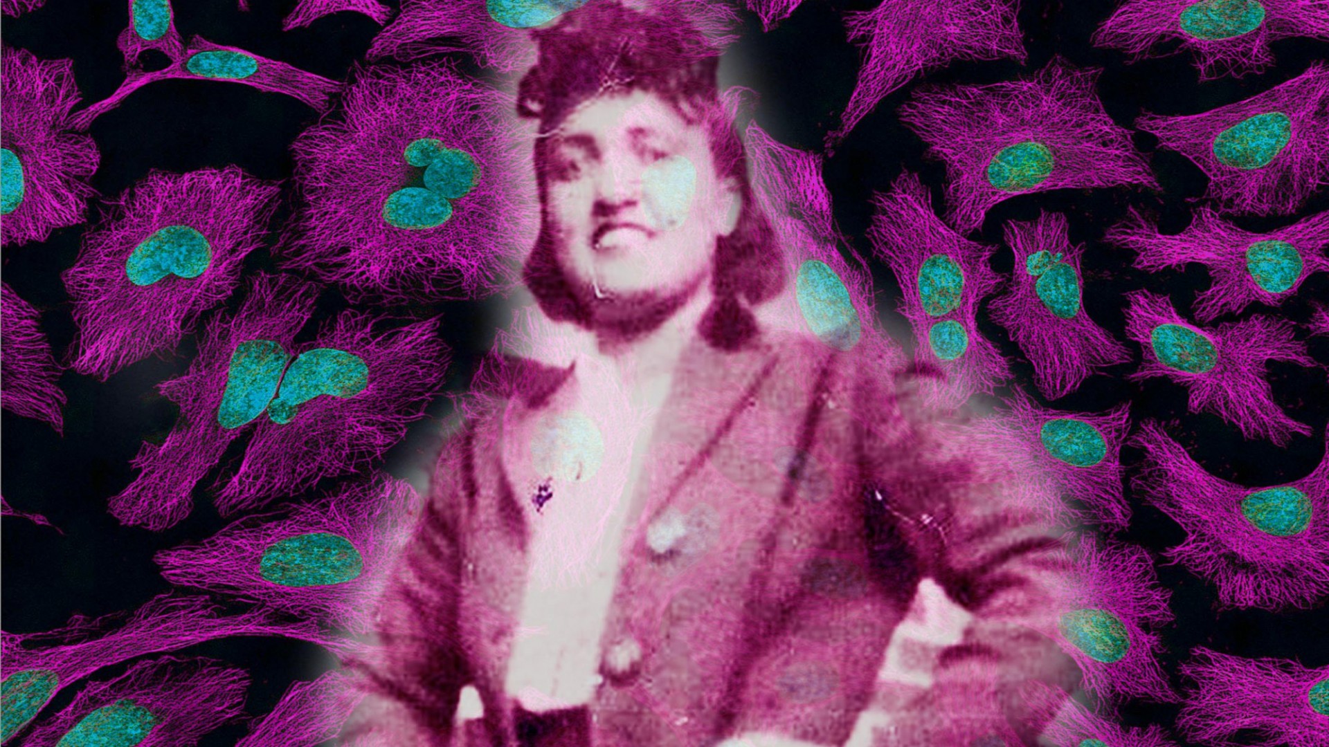 Afrocyberféminismes #1