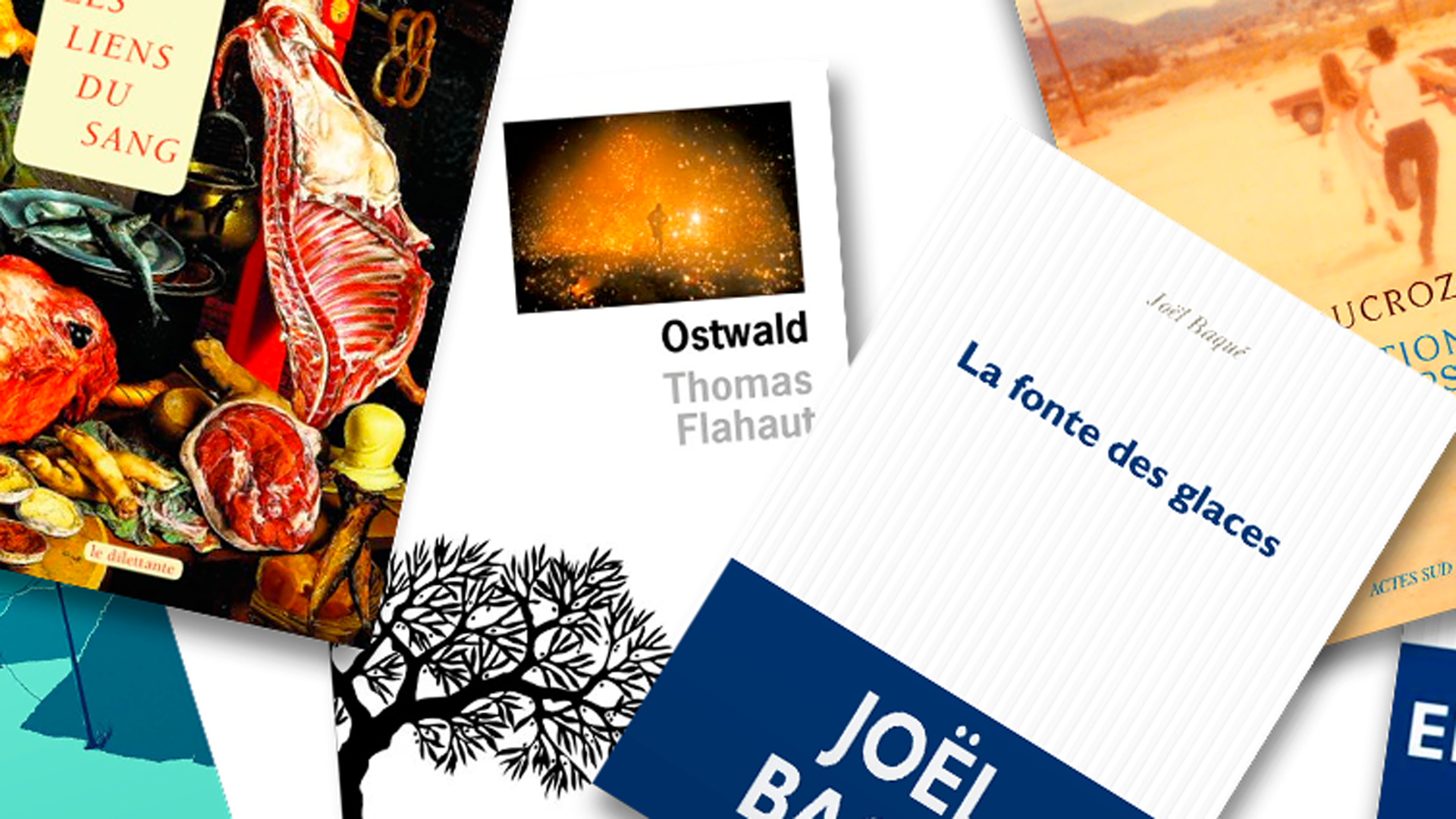 Six romans sélectionnés pour la 1ère édition du Prix du Roman d’Écologie