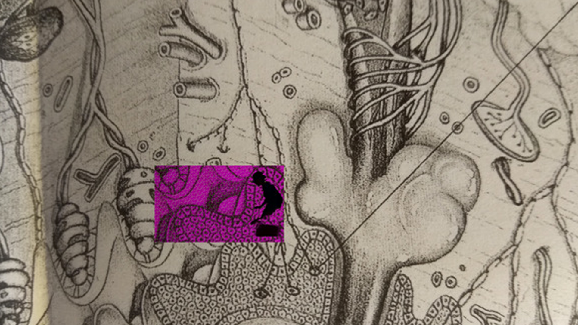 Recherches à découvert #9