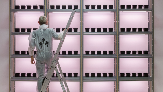 Chaînes de distribution