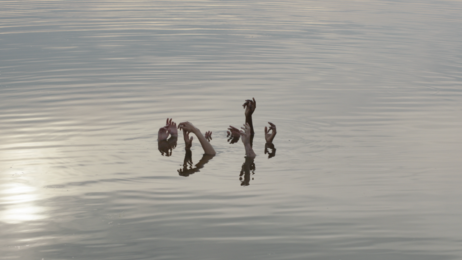 Soirée d'ouverture : Cultes / High Energy