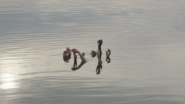 Soirée d'ouverture : Cultes / High Energy