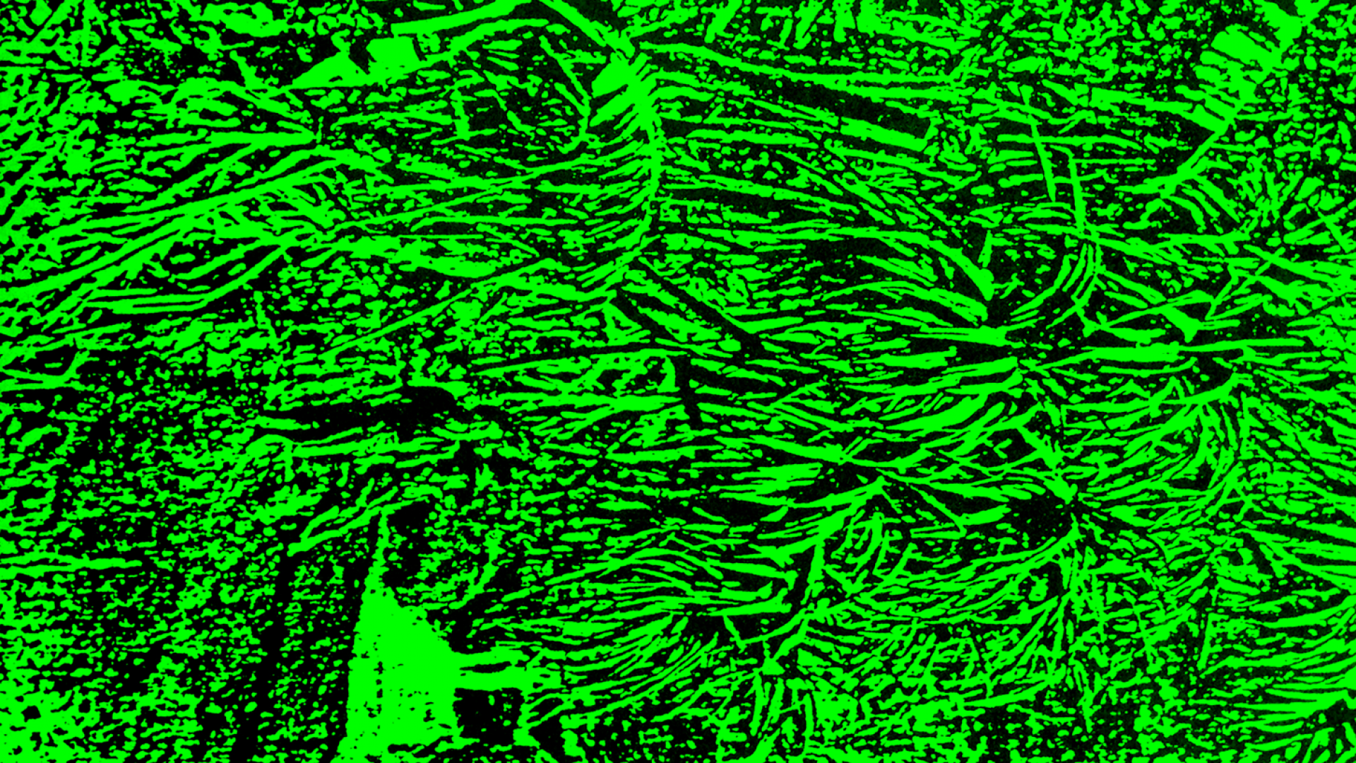 Ce qui dépend de nous