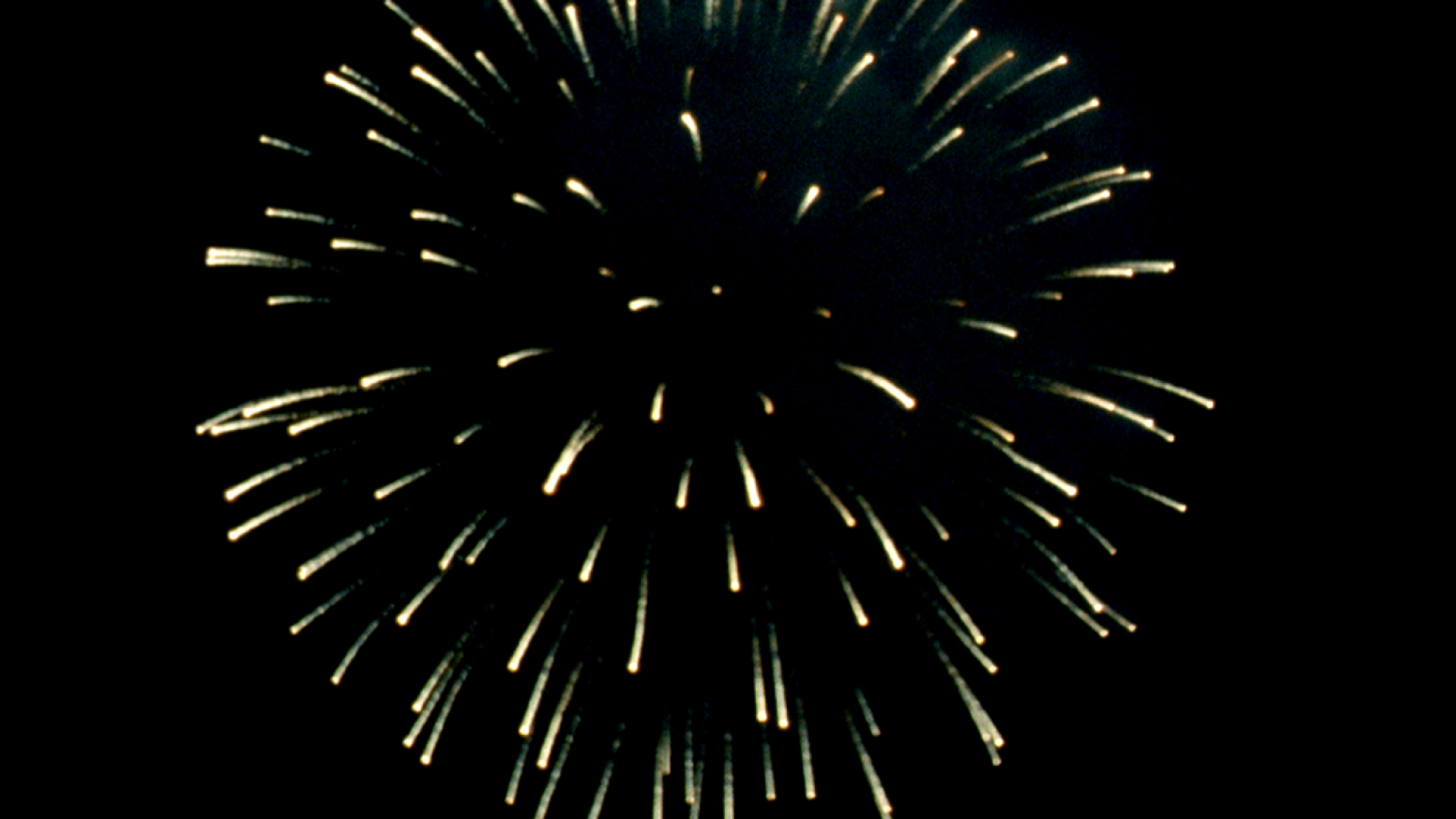 Vivre avec la catastrophe